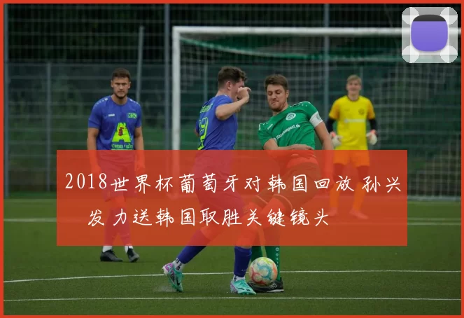 2018世界杯葡萄牙对韩国回放 孙兴慜发力送韩国取胜关键镜头