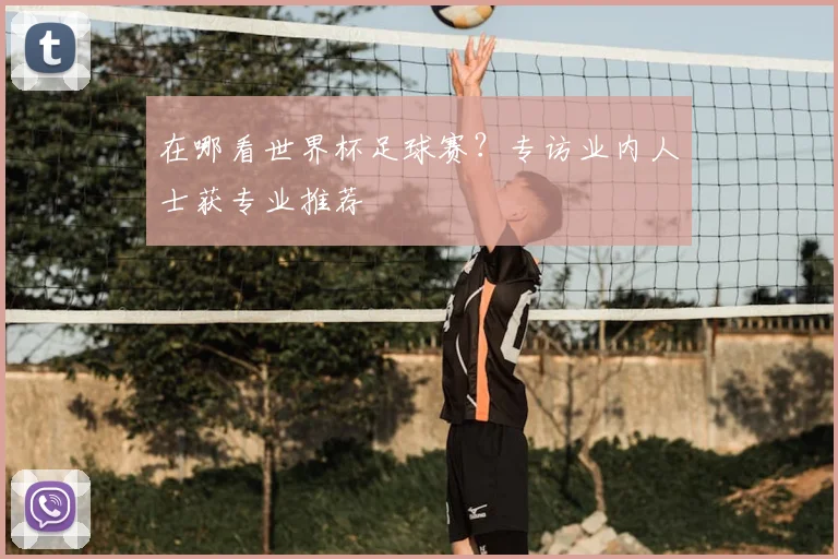 在哪看世界杯足球赛?专访业内人士获专业推荐