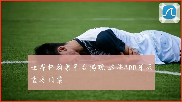 世界杯购票平台揭晓 这些App可买官方门票