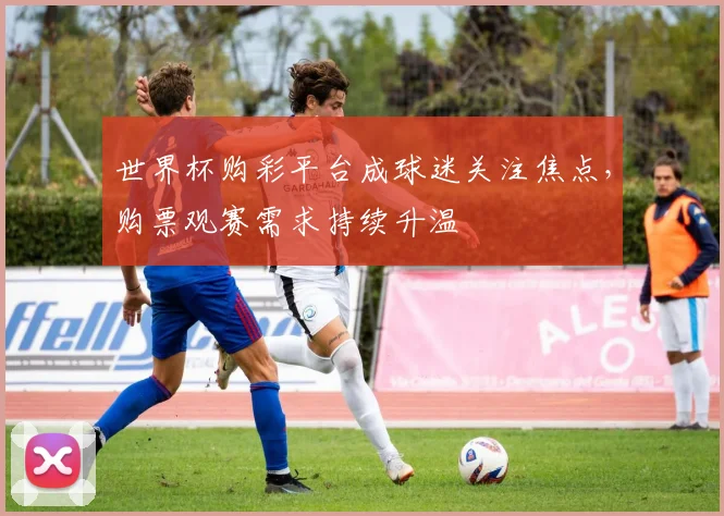 世界杯购彩平台成球迷关注焦点,购票观赛需求持续升温