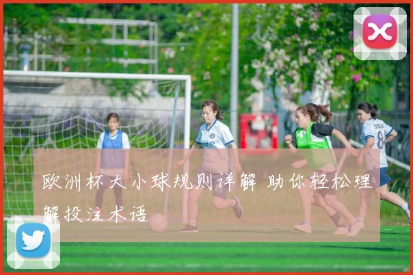 欧洲杯大小球规则详解 助你轻松理解投注术语