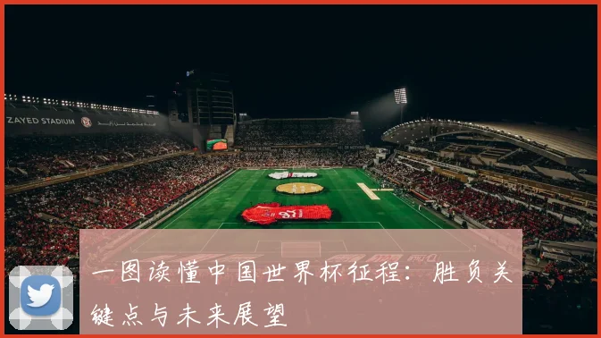 一图读懂中国世界杯征程:胜负关键点与未来展望