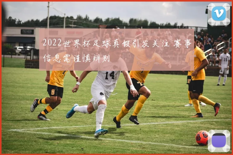 2022世界杯足球真假引发关注 赛事信息需谨慎辨别