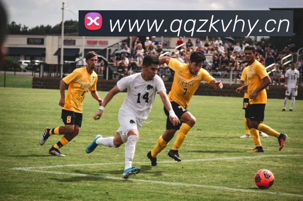 Kaiyun中国大陆(官方电力科技平台) - 登录入口服务体系